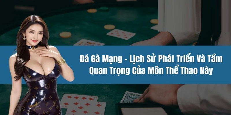 Đá Gà Mạng