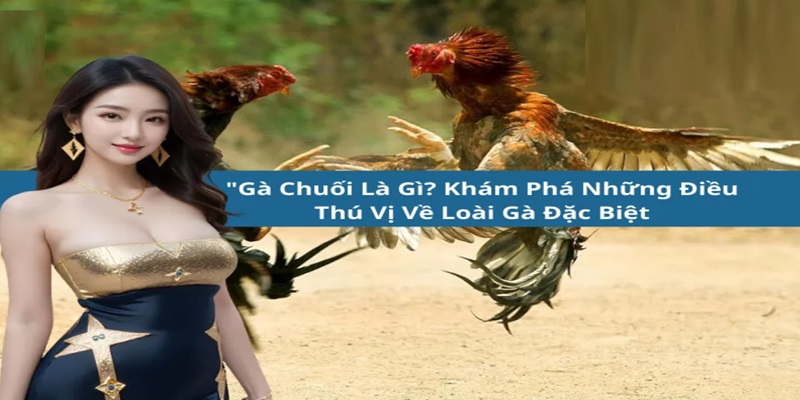 Gà chuối là gì