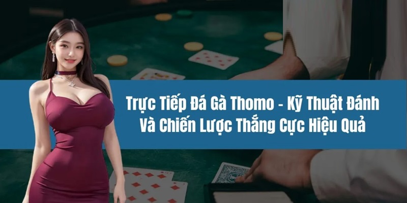 Trực tiếp đá gà Thomo